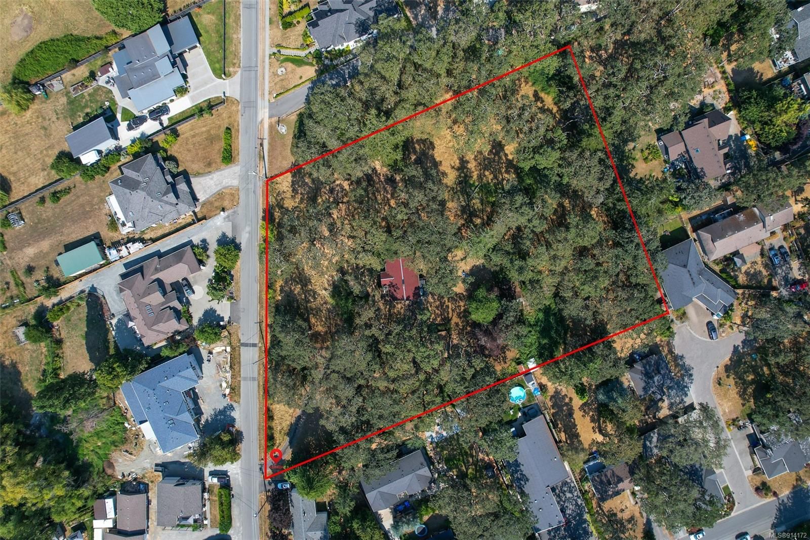 When Housing Debates Erase Ecology: The Story of 4015 Braefoot Rd. and the Garry Oak Ecosystem